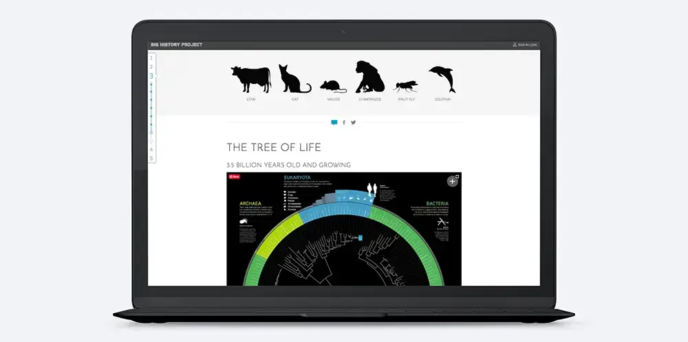 Desktop view of the Big History dashboard