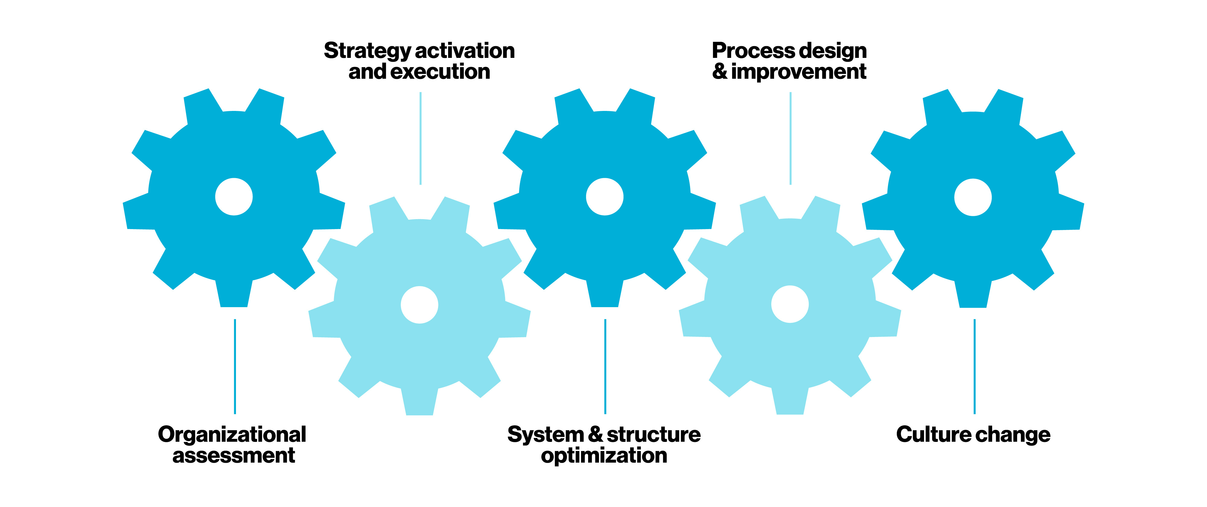 Organizational Design